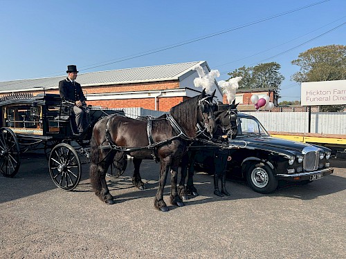 Funeral Horse and Hearse