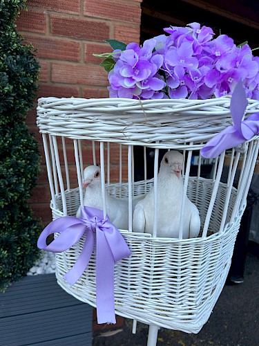 Funeral White Doves